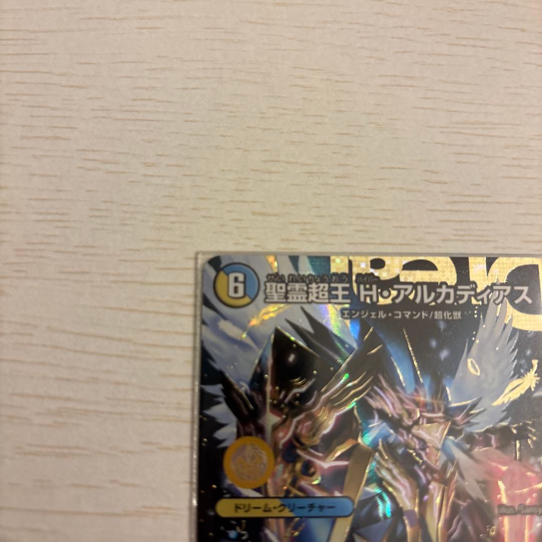 聖霊超王 H ・アルカディアス　シークレット