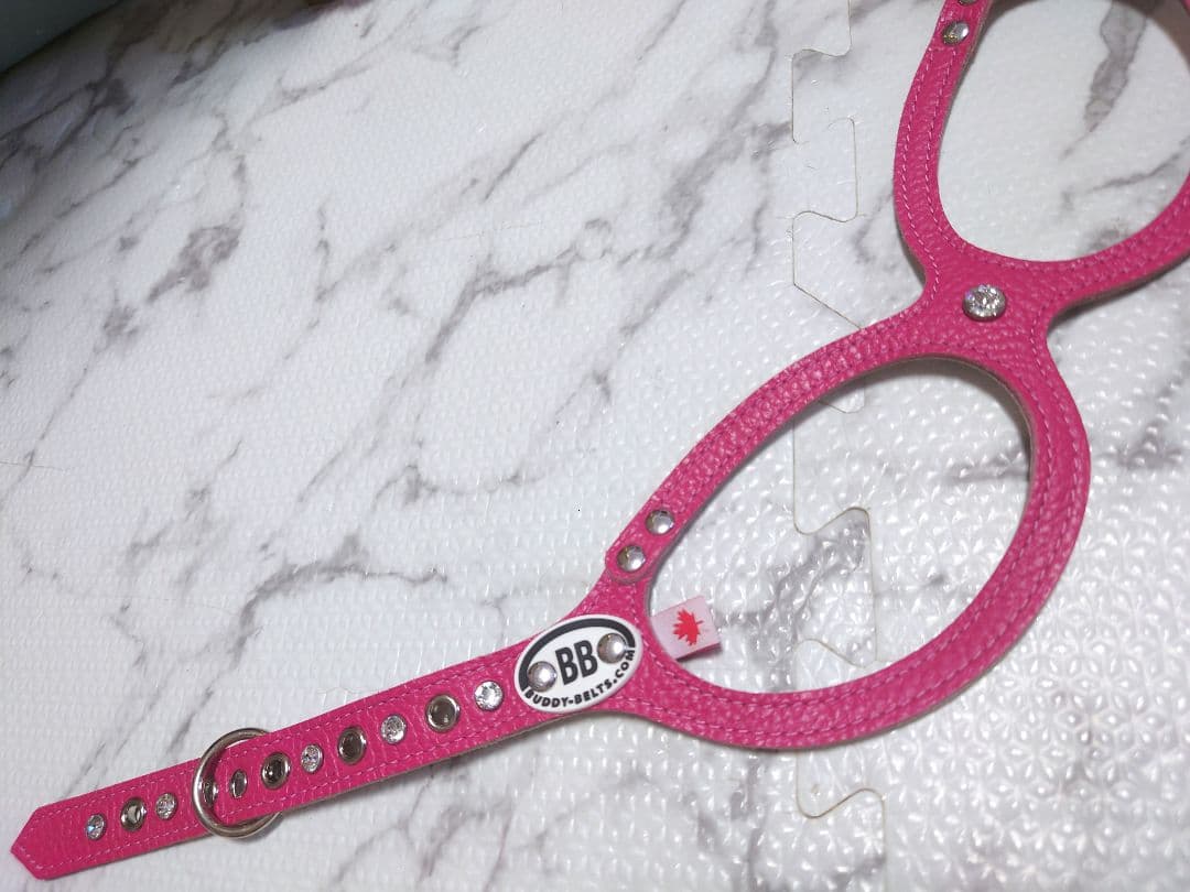 バディベルト ラインストーン 5号サイズ ラインストーン付き BUDDY BELTS バディーベルト バディ