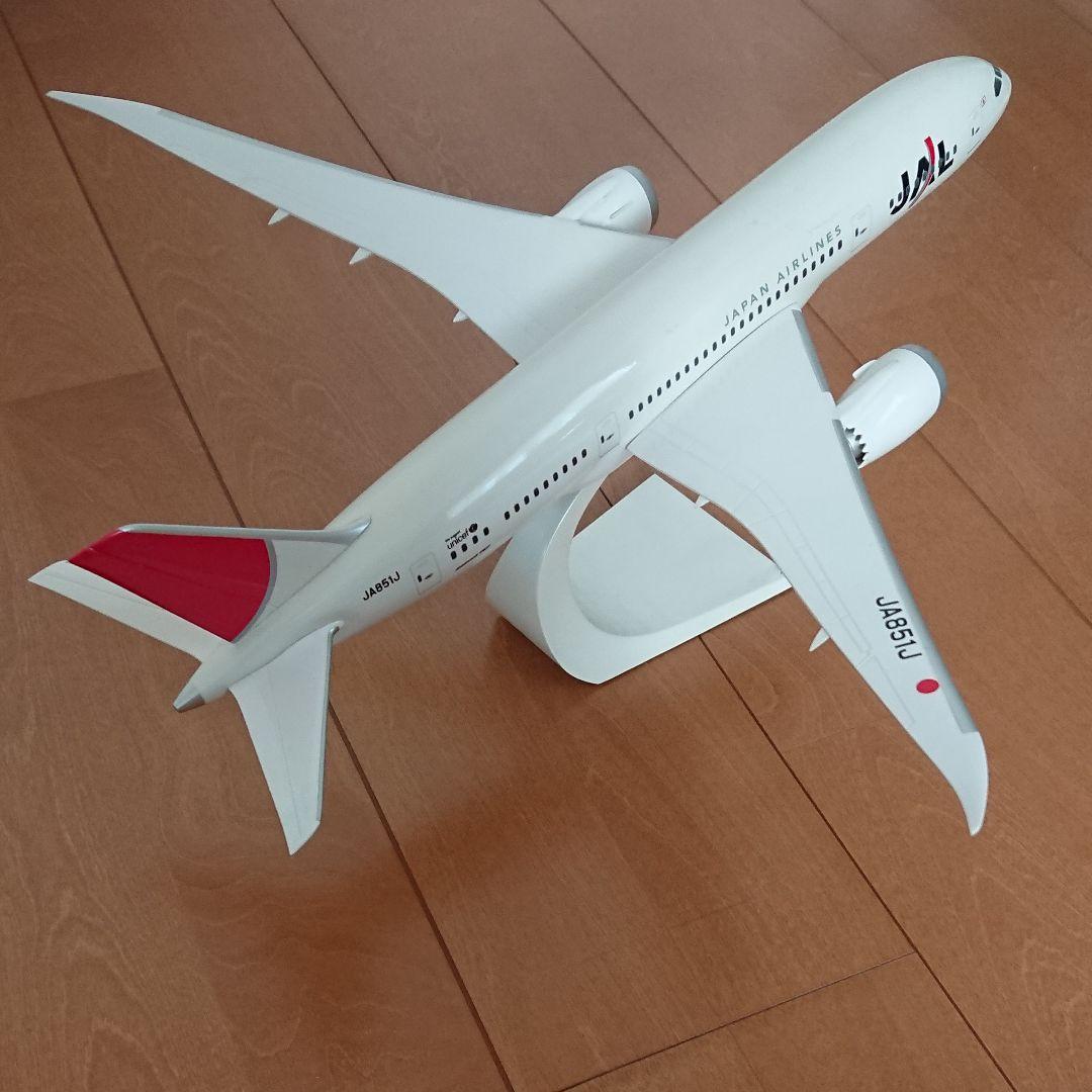 JAL 787-8 幻のアーク塗装
