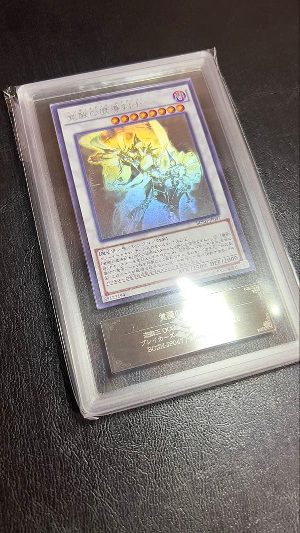 こ*中様 完美品級 ARS10 覚醒の魔導剣士 ホロ 世界に