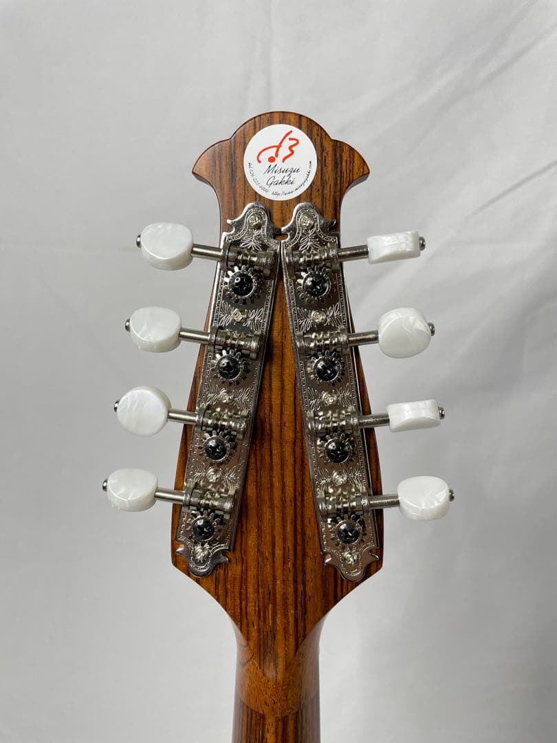 ASTURIAS/アストリアス MS-1bis マンドリン ケース付き - メルカリ