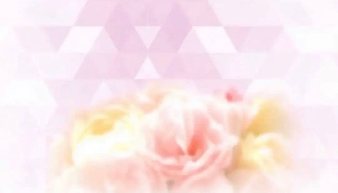 新品同様 / 希少】 サキナ ベーシック5点セット 【1751097908】