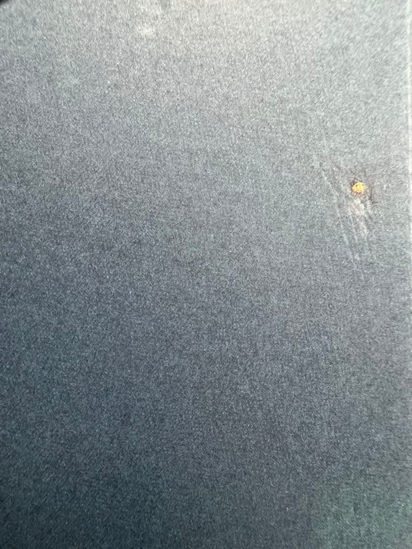 トトロ 30周年記念ぬいぐるみ 本体