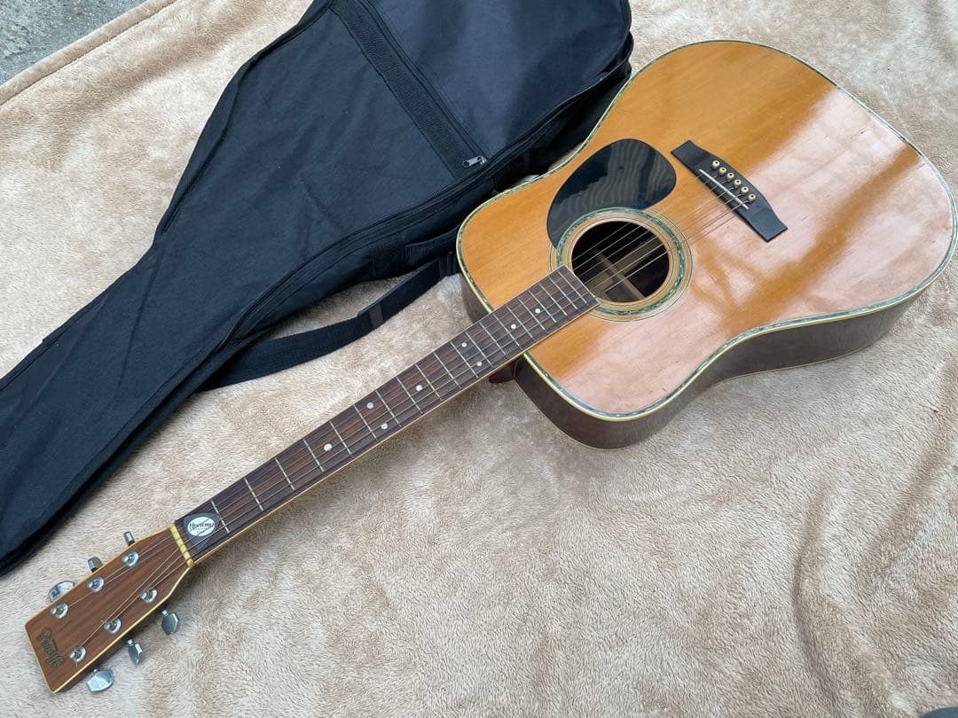 Suzuki W-250 アコースティックギター 鈴木バイオリン SUZUKI Three S