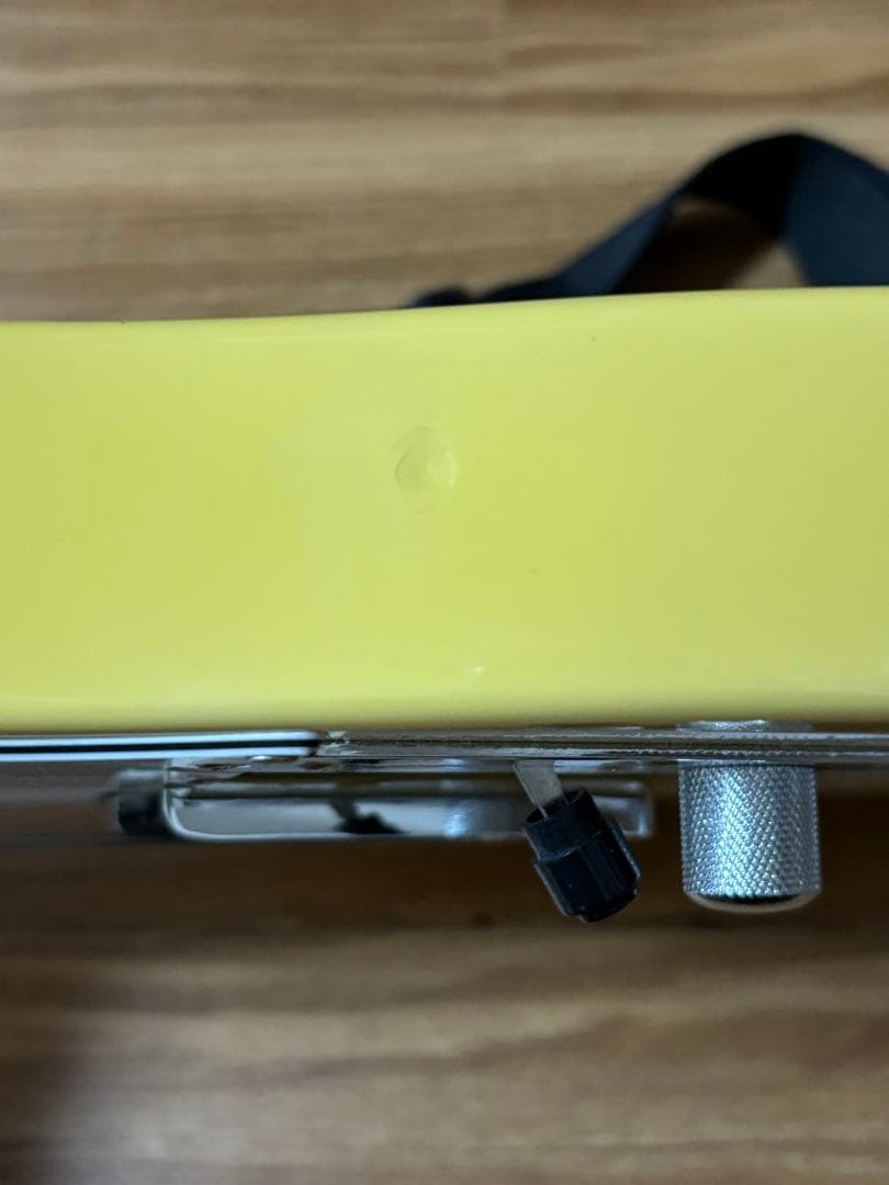 Grass roots G-TE-50R ストラップ、ソフトケース付き