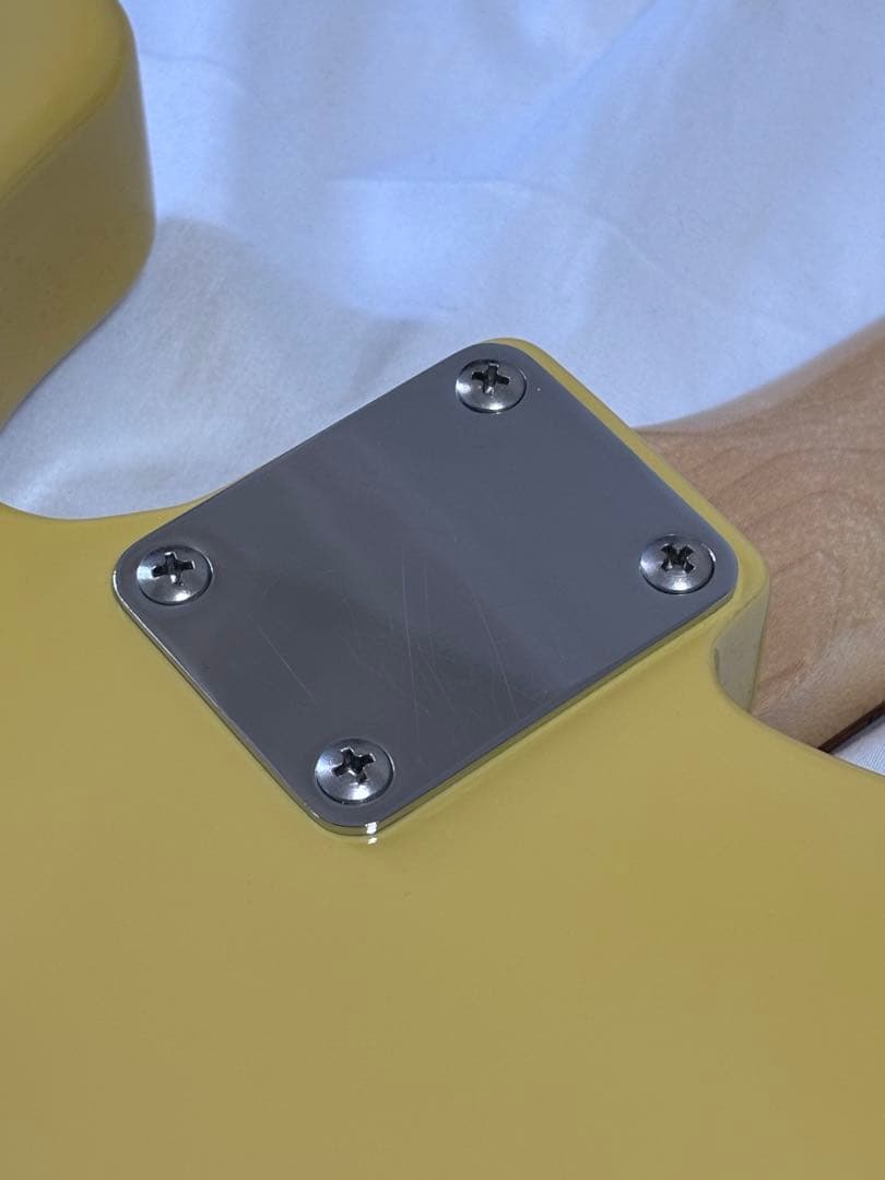 Grass roots G-TE-50R ストラップ、ソフトケース付き