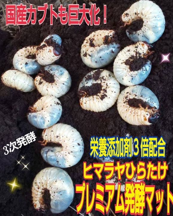 増量50L☆プレミアム3次発酵カブトマット 特殊アミノ酸・共生