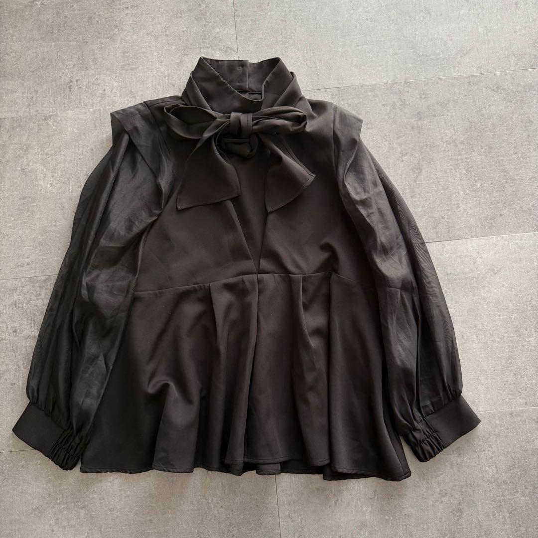 【大きめ】ルイルエ オーガンジースリーブ パンツ セットアップ 3L 結婚式