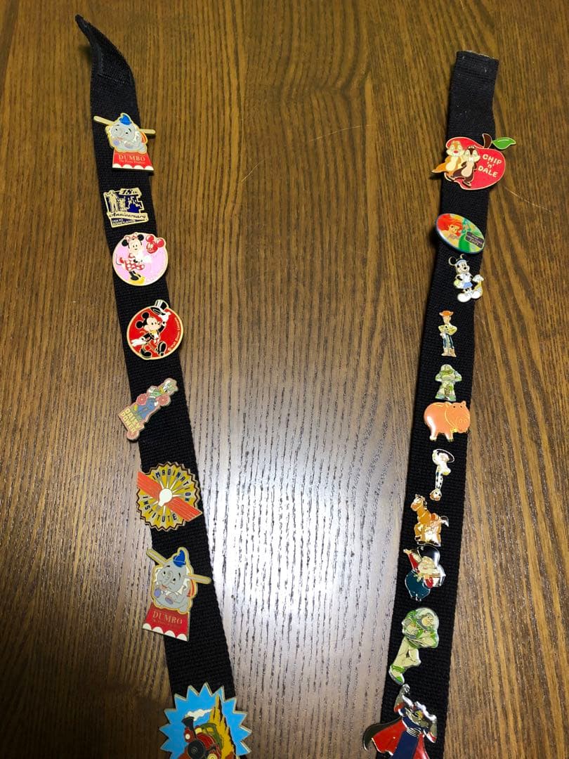 東京ディズニーランド　ピンバッチ27点+専用ストラップ