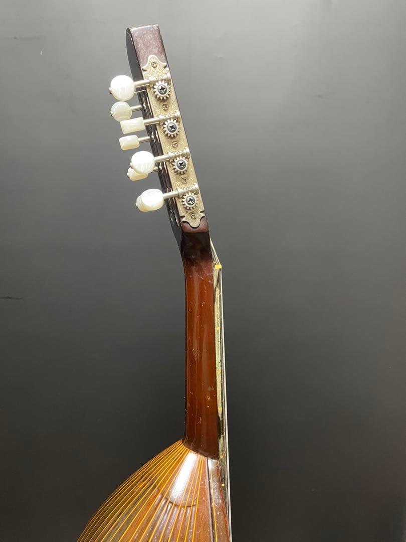 SUZUKI スズキ M-50 マンドリン ハードケース付き