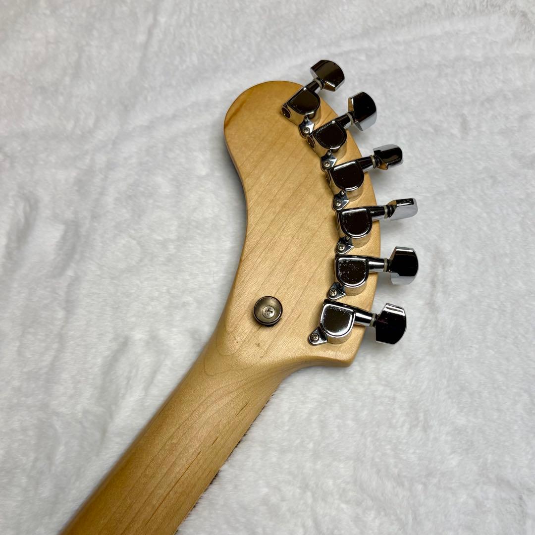 FERNANDES フェルナンデス DIGI-ZO Hyper ソフトケース付き