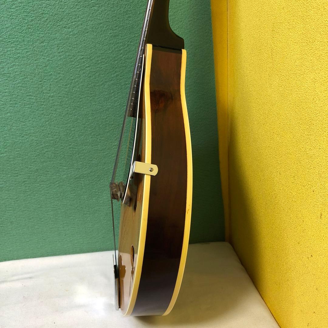 フラットマンドリン 日本製ハードケース付き！