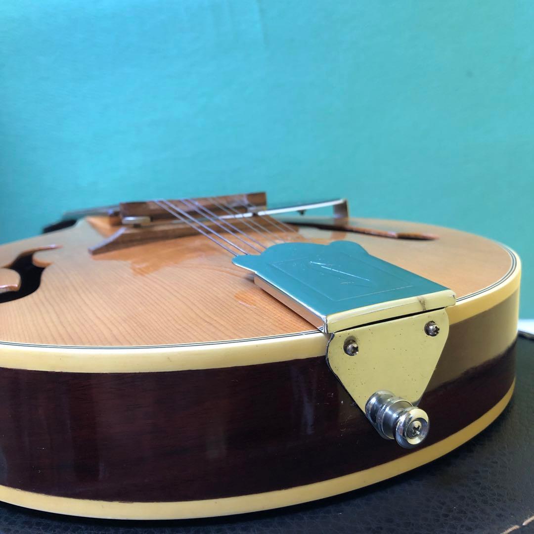 フラットマンドリン 日本製ハードケース付き！