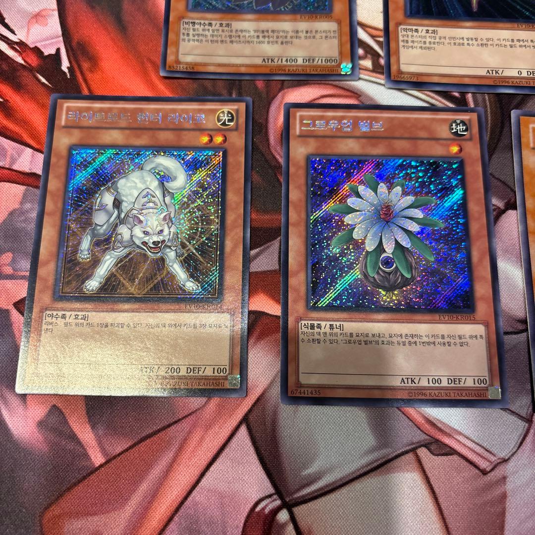 遊戯王 カード 韓国版 EV10 コレクション