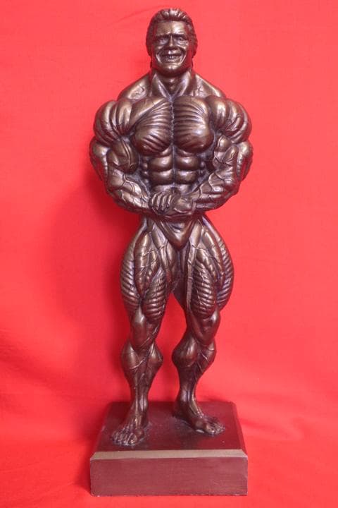 アーノルドシュワルツェネッガー・ボディビルダー像（ニールス