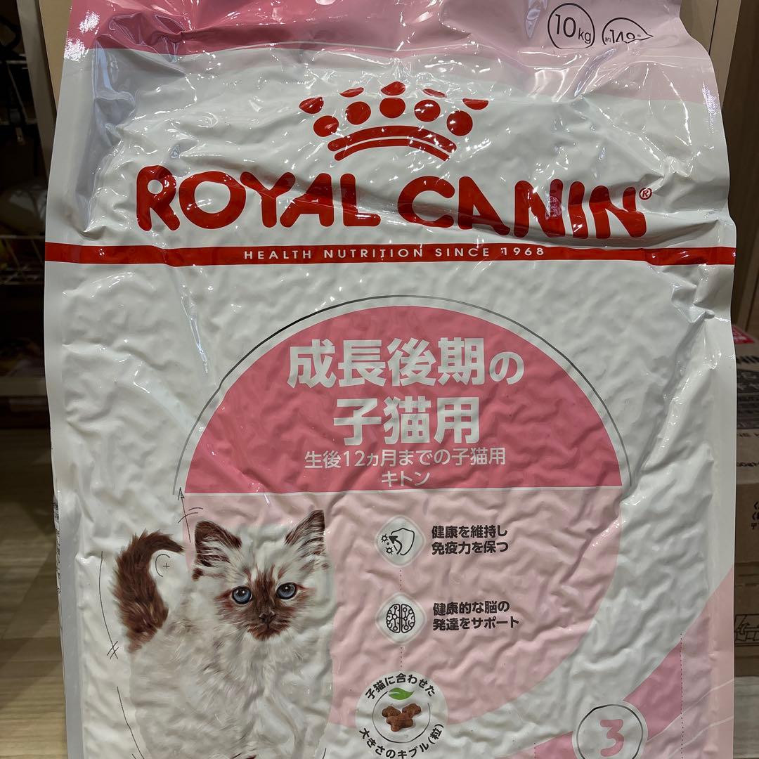 ROYAL CANIN 子猫用成長後期ドライフード 10kg - メルカリ