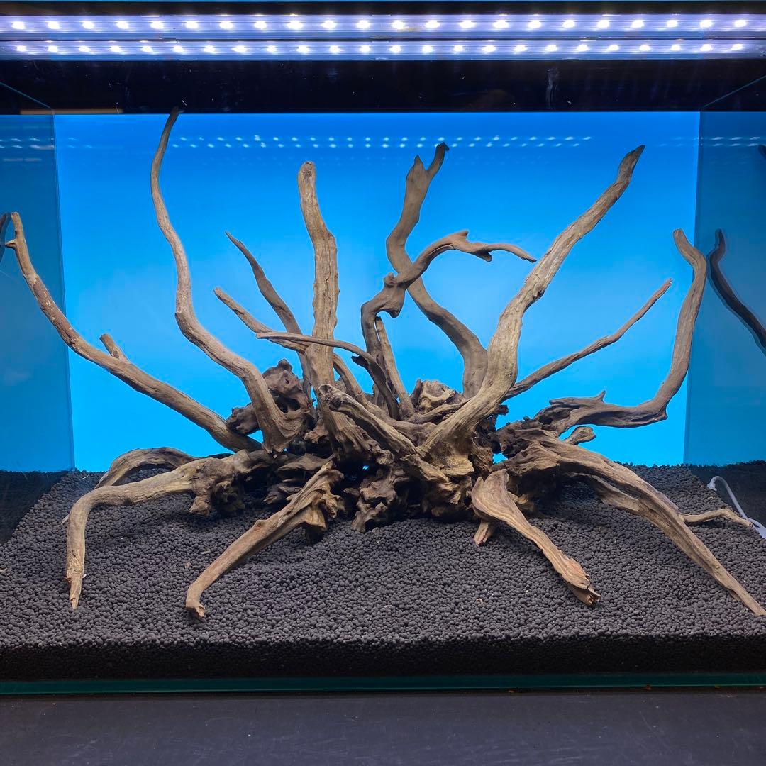 MSRW-6756 スリムウッドレイアウトセット　60cm水槽用流木アクアリウム MSRW-6756 スリムウッドレイアウトセット 60cm水槽用流木アクアリウム