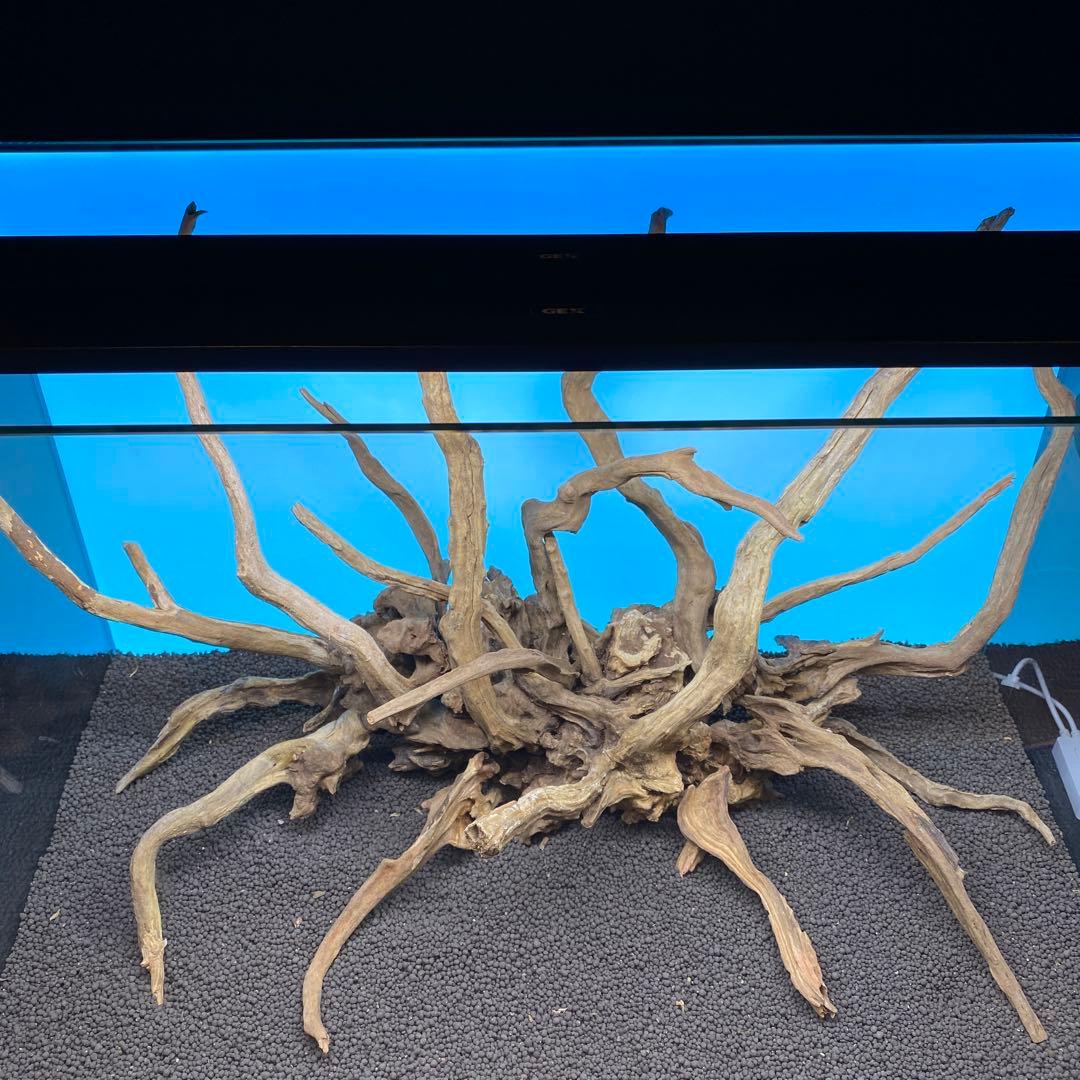 MSRW-6756 スリムウッドレイアウトセット 60cm水槽用流木アクアリウム