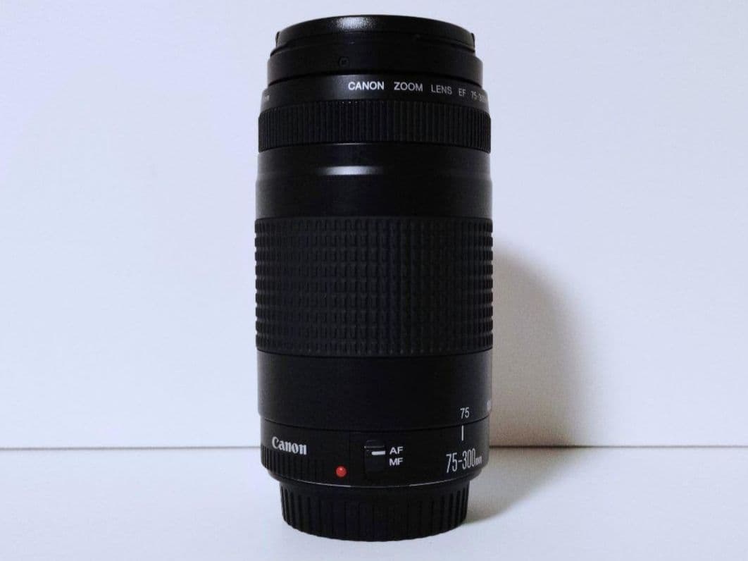 Canon キヤノン EF 75-300mm 望遠 ズーム レンズ 2 Canon EOS 6D Mark II