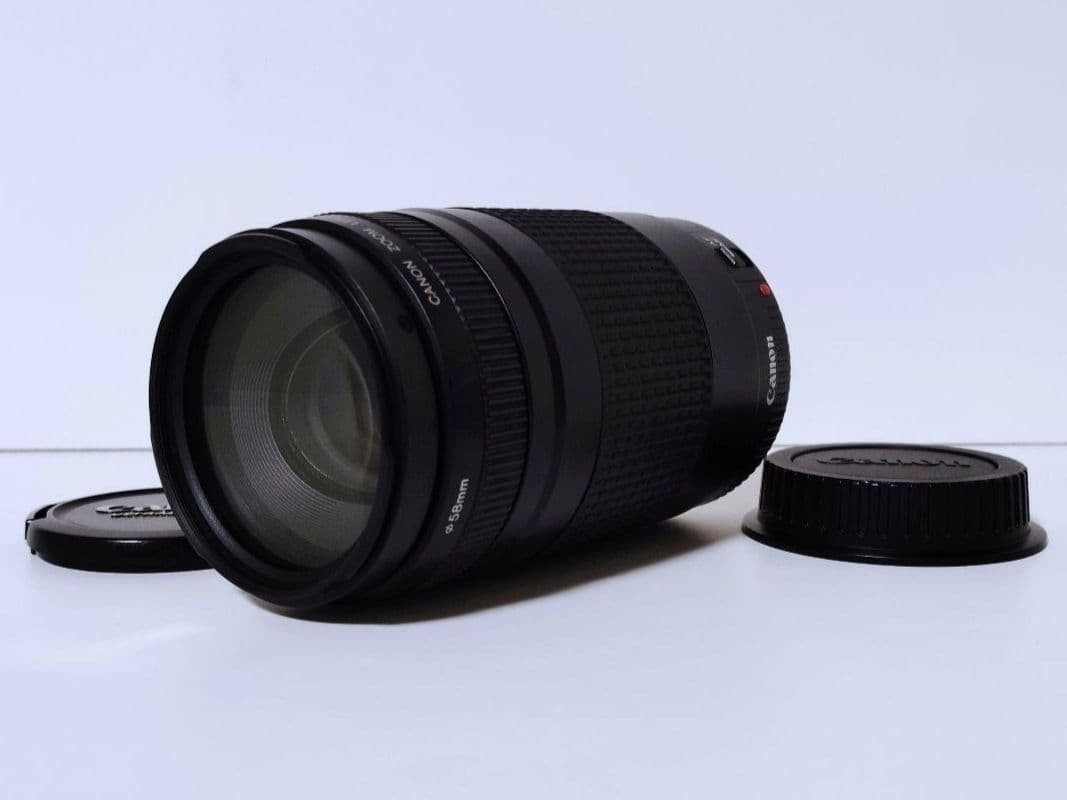 Canon キヤノン EF 75-300mm 望遠 ズーム レンズ 2 Canon EOS 6D Mark II