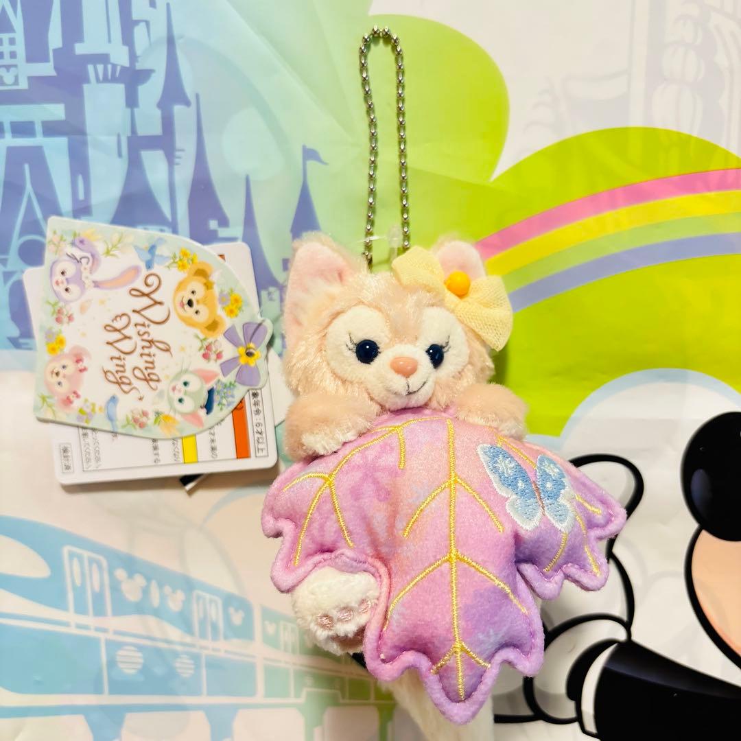 ディズニーシー⭐️ダッフィー&フレンズのウィッシングウィングス