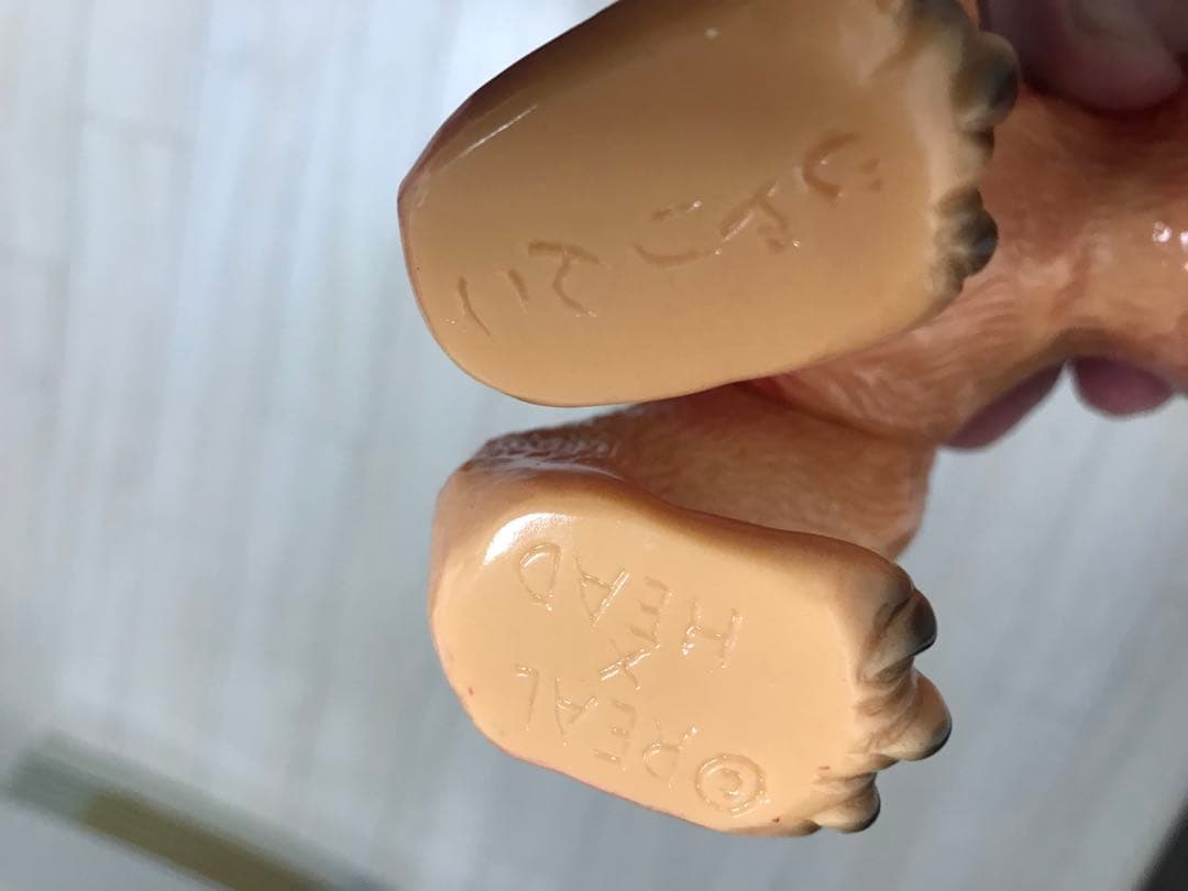 リアルヘッド　仁面犬　五郎