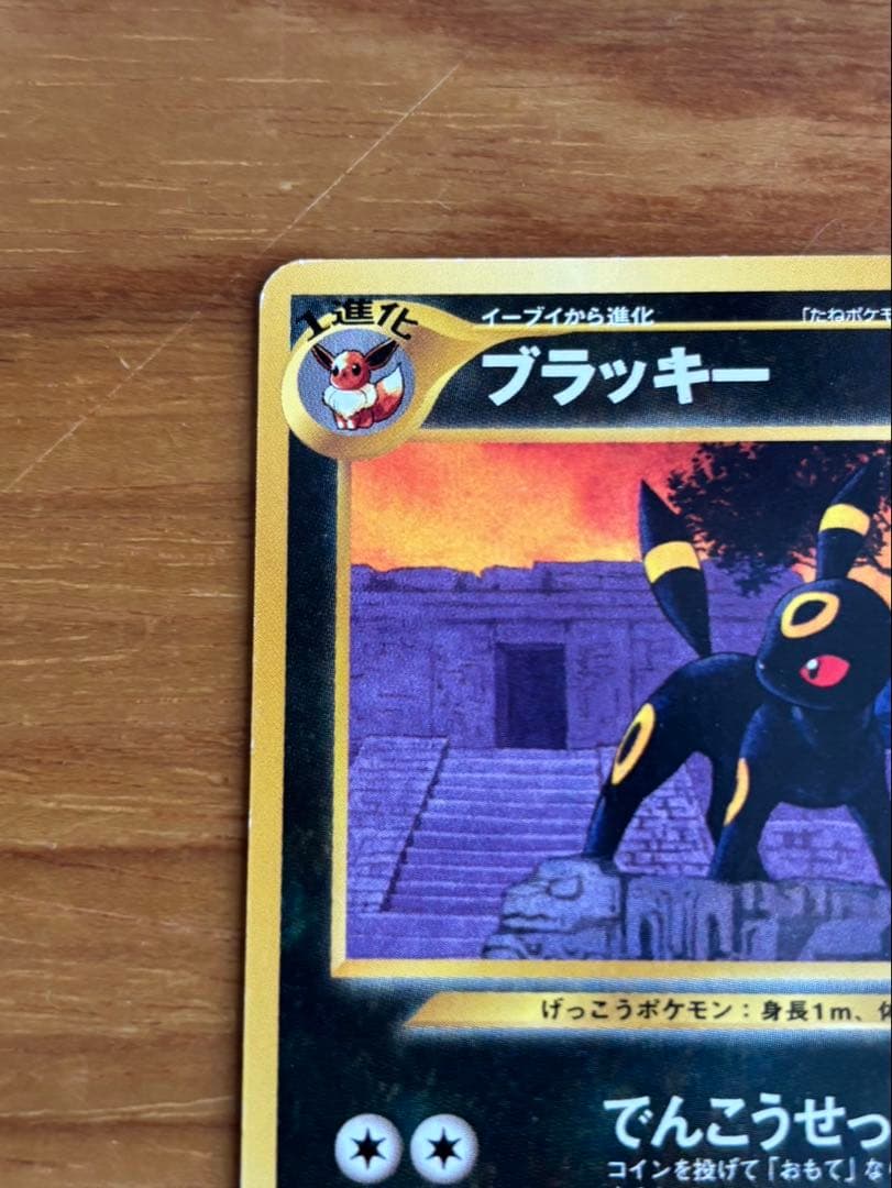 ブラッキー_プレミアムファイル2 PROMO 第2世代（☆neo・☆VS・☆w