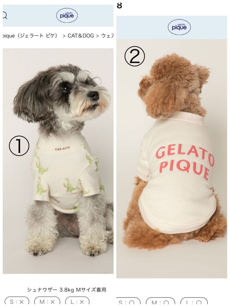 ジェラートピケ 犬服 2着セット Mサイズ ドッグウェア ダイナソー 恐竜