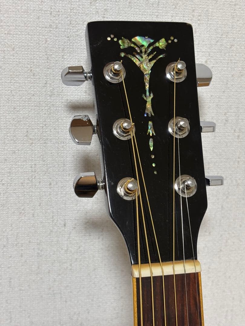 専用‼️‼️訳アリ❗️ARIA ADL−01 BK パーラータイプ 調整済‼️