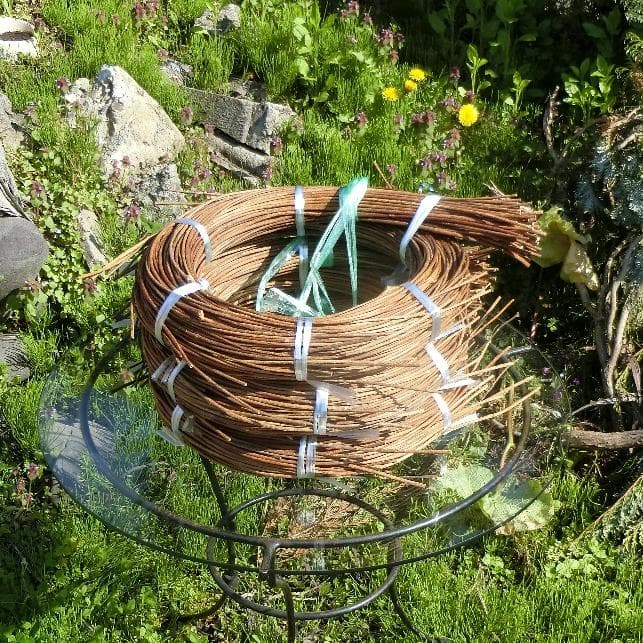 michifurano213　青森岩木山　あけび蔓　150cm～ 3kg