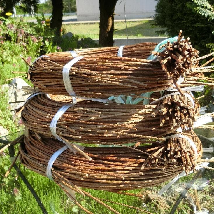 michifurano213　青森岩木山　あけび蔓　150cm～ 3kg