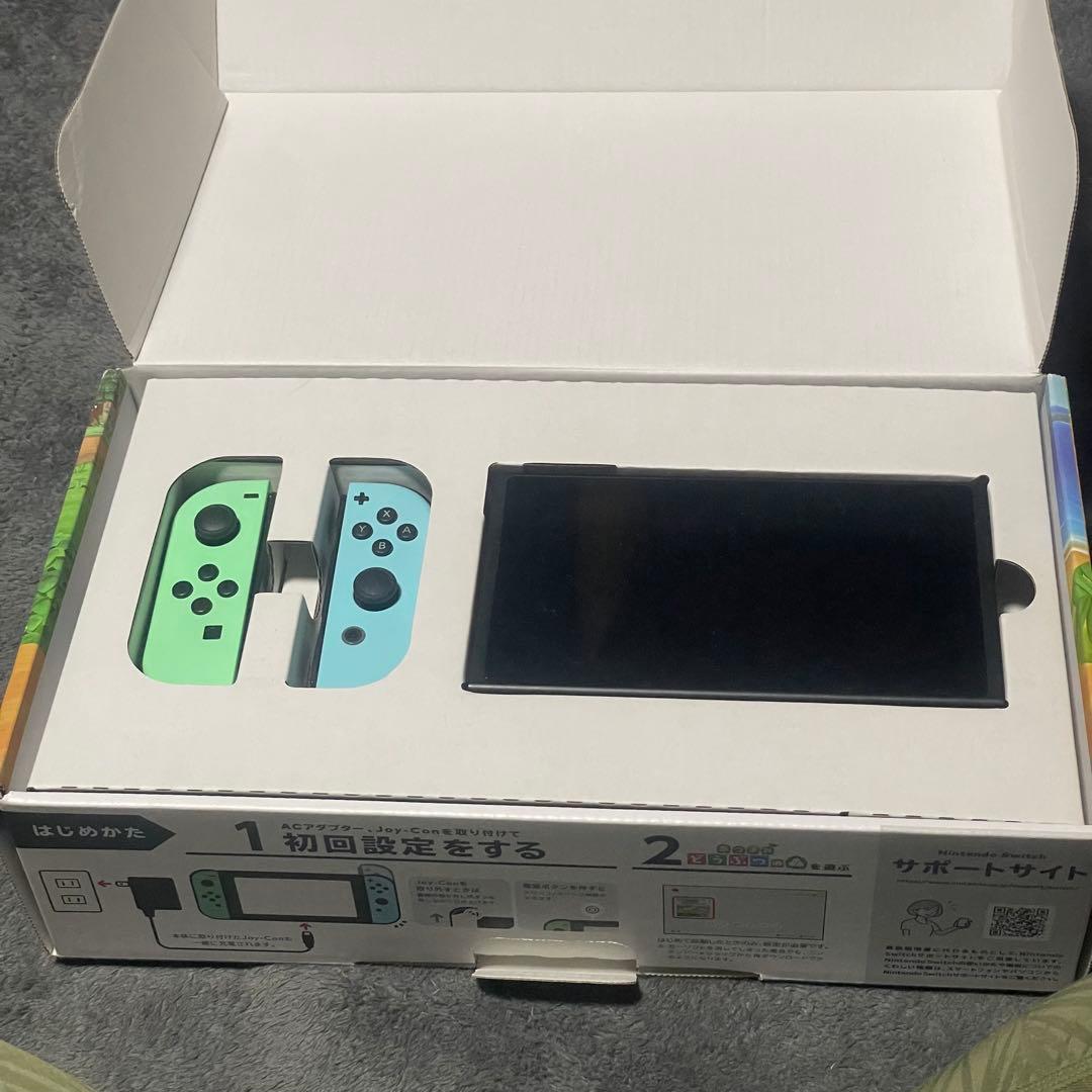 Nintendo Switch どうぶつの森 （※説明文を必ずお読みください）