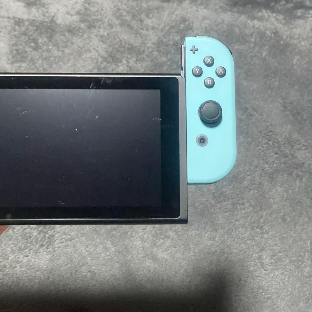 Nintendo Switch どうぶつの森 （※説明文を必ずお読みください）