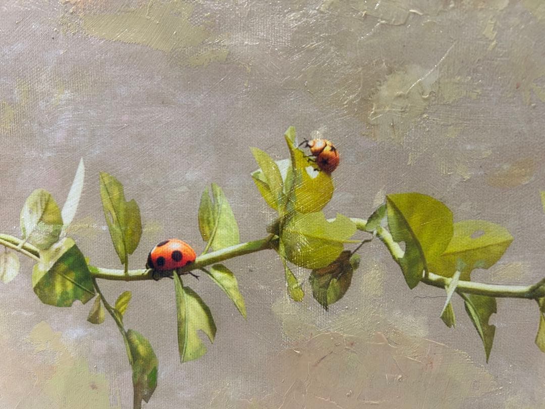 てんとう虫　アクリルガッシュ　イラストレーション　絵画