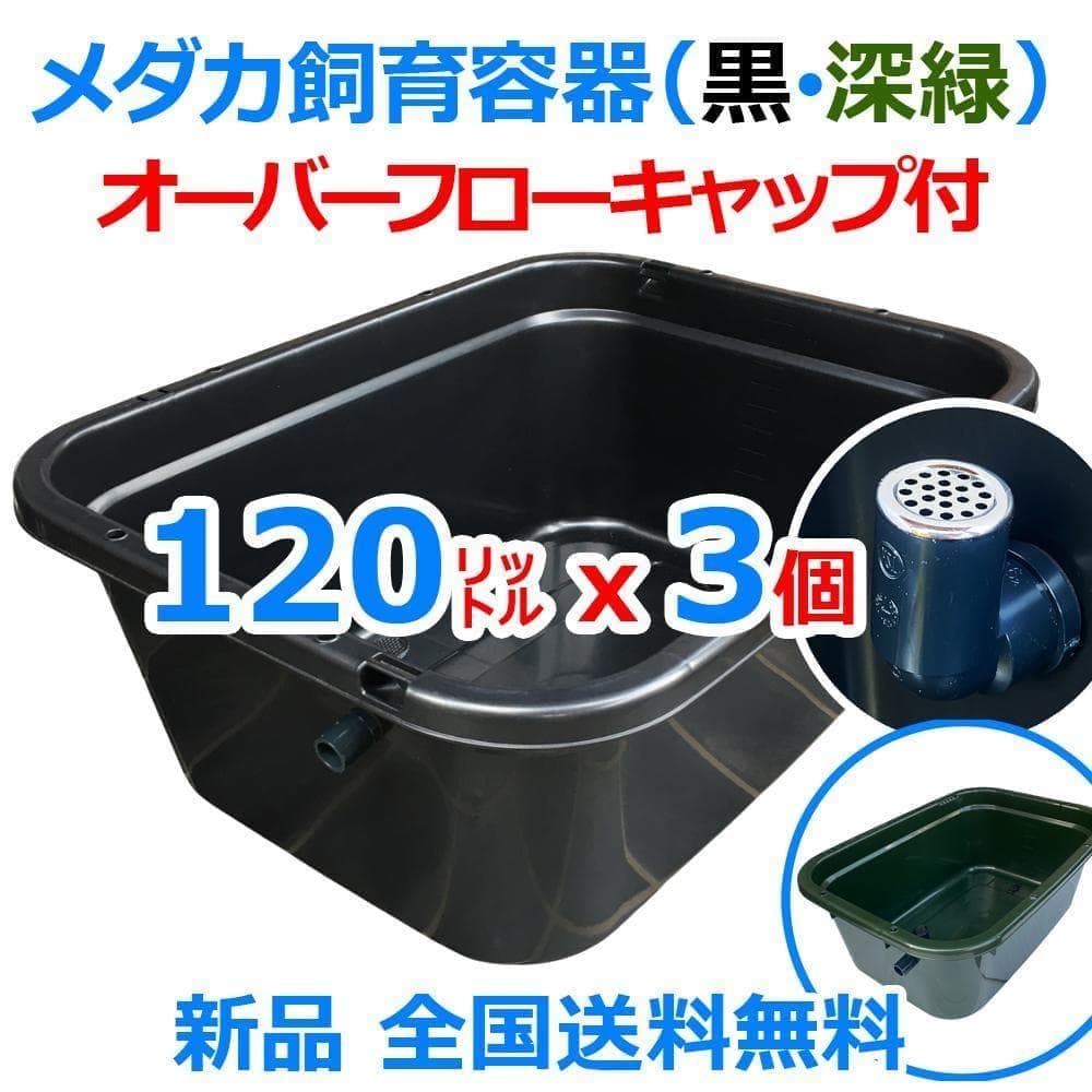 メダカ飼育ケース 120㍑x3個 黒・濃緑あり オーバーフロー 金魚飼育