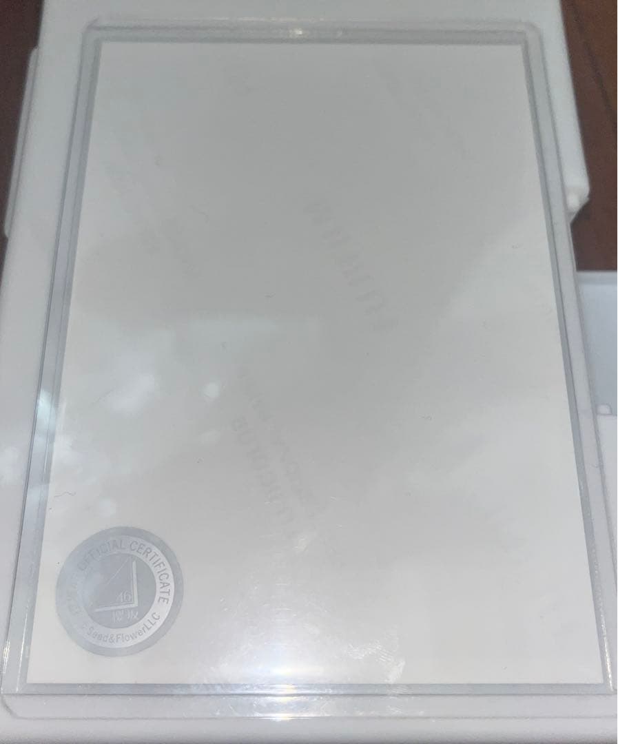 櫻坂46 山﨑天　3rdアニラ 直筆　生写真　ヨリ