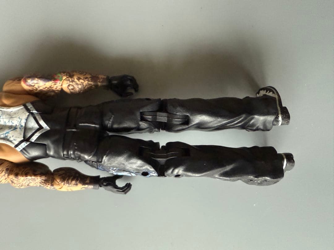 WWE プロレスラー フィギュア 6インチ