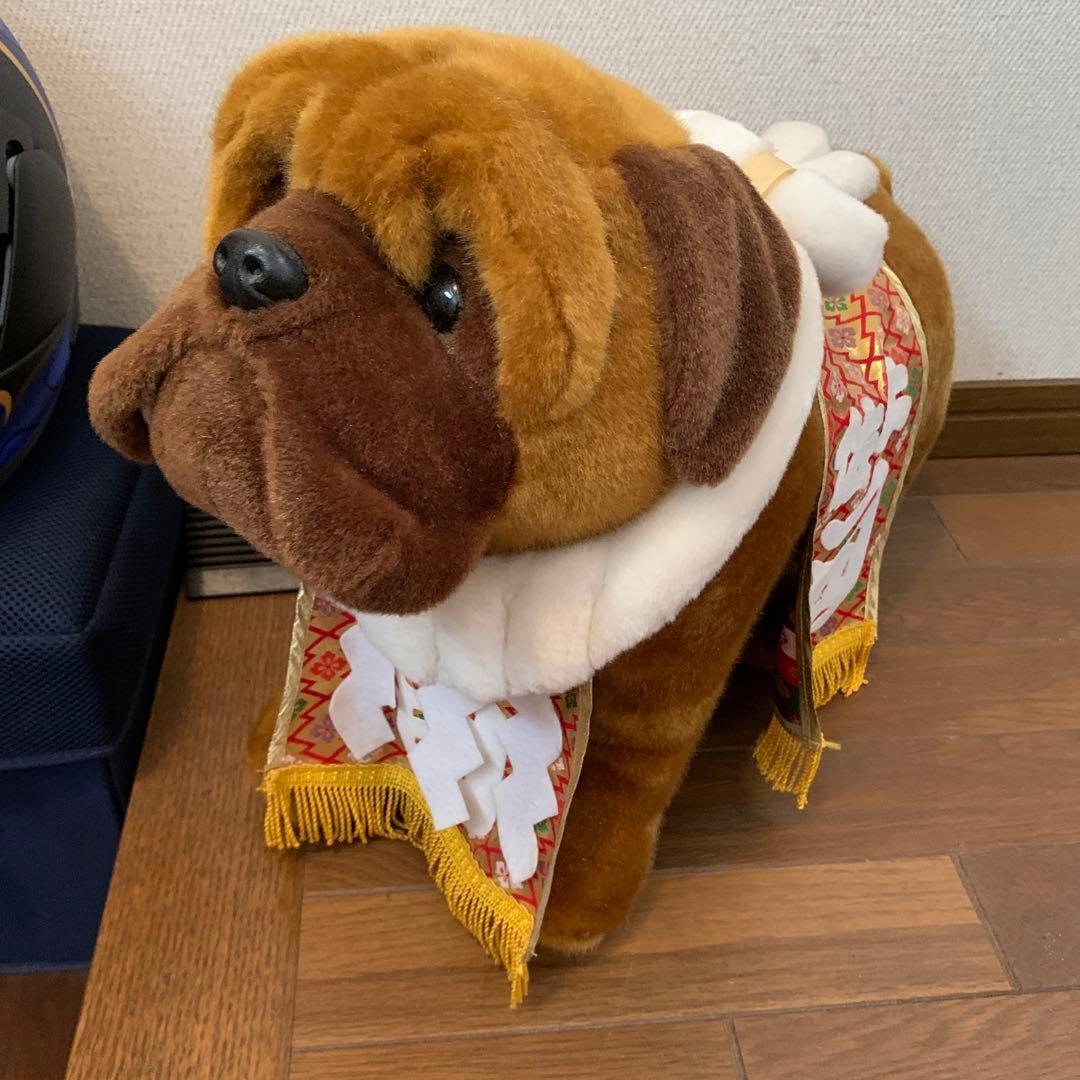 土佐犬ぬいぐるみ【闘犬】