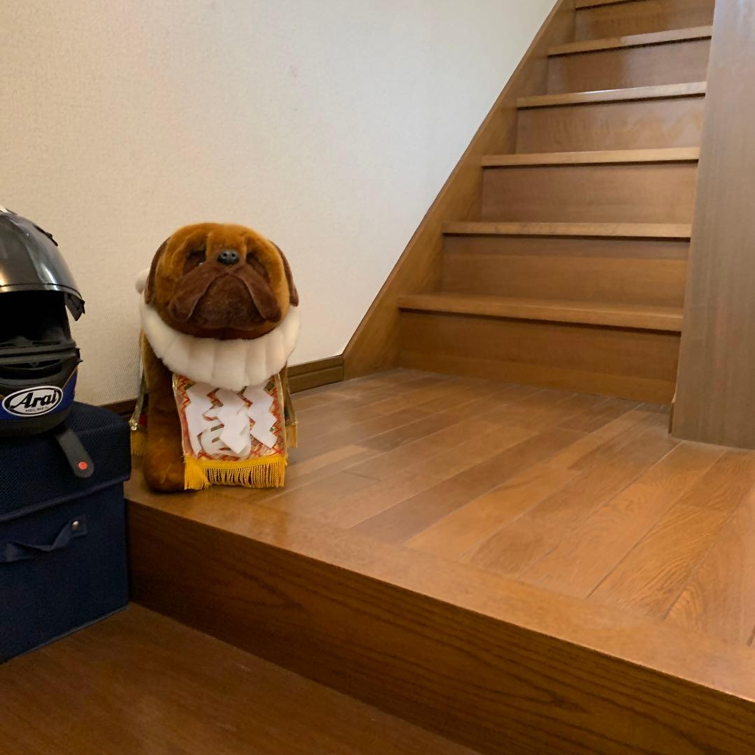 土佐犬ぬいぐるみ【闘犬】