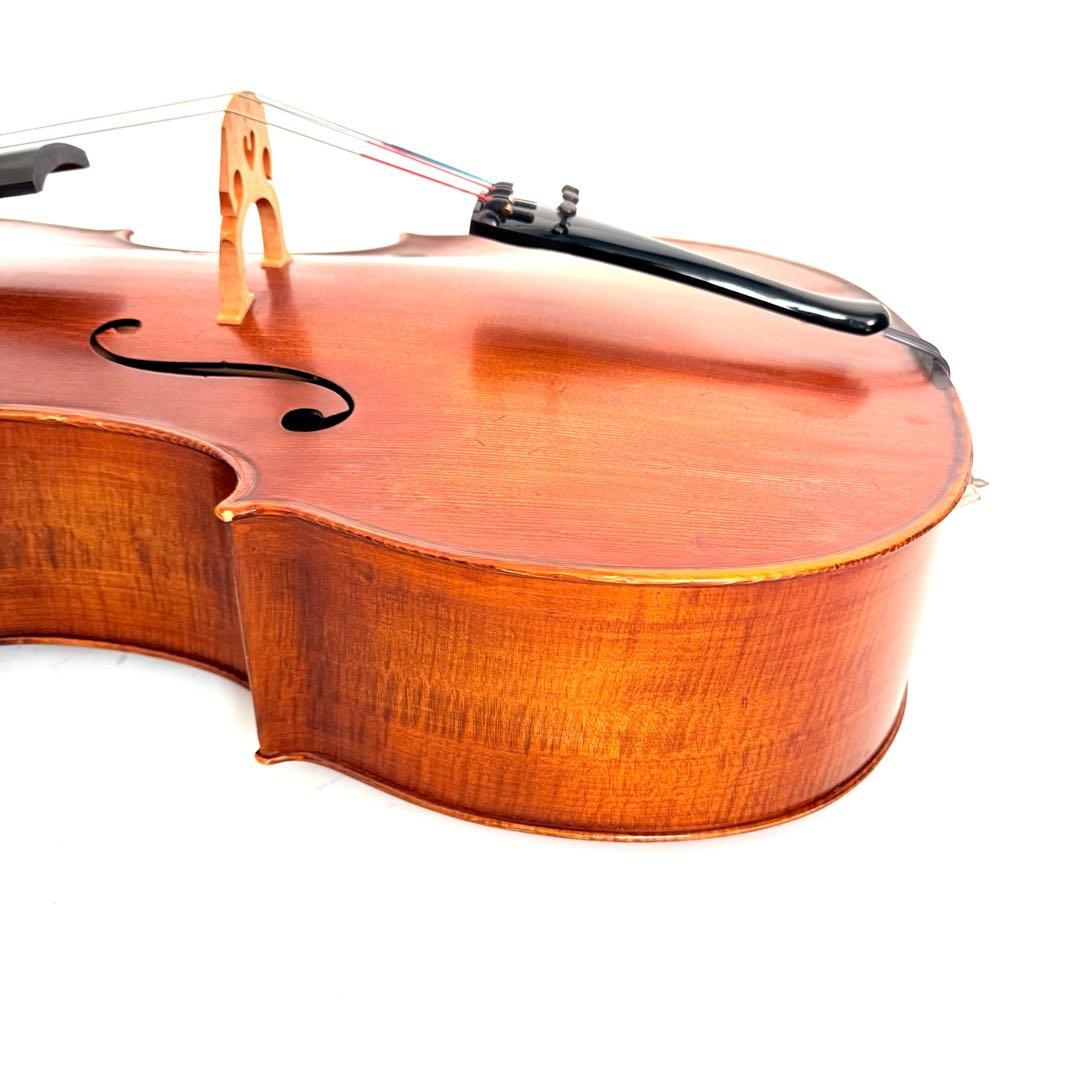 弦楽器 Gliga Strumenti musicali eseguiti 4/4