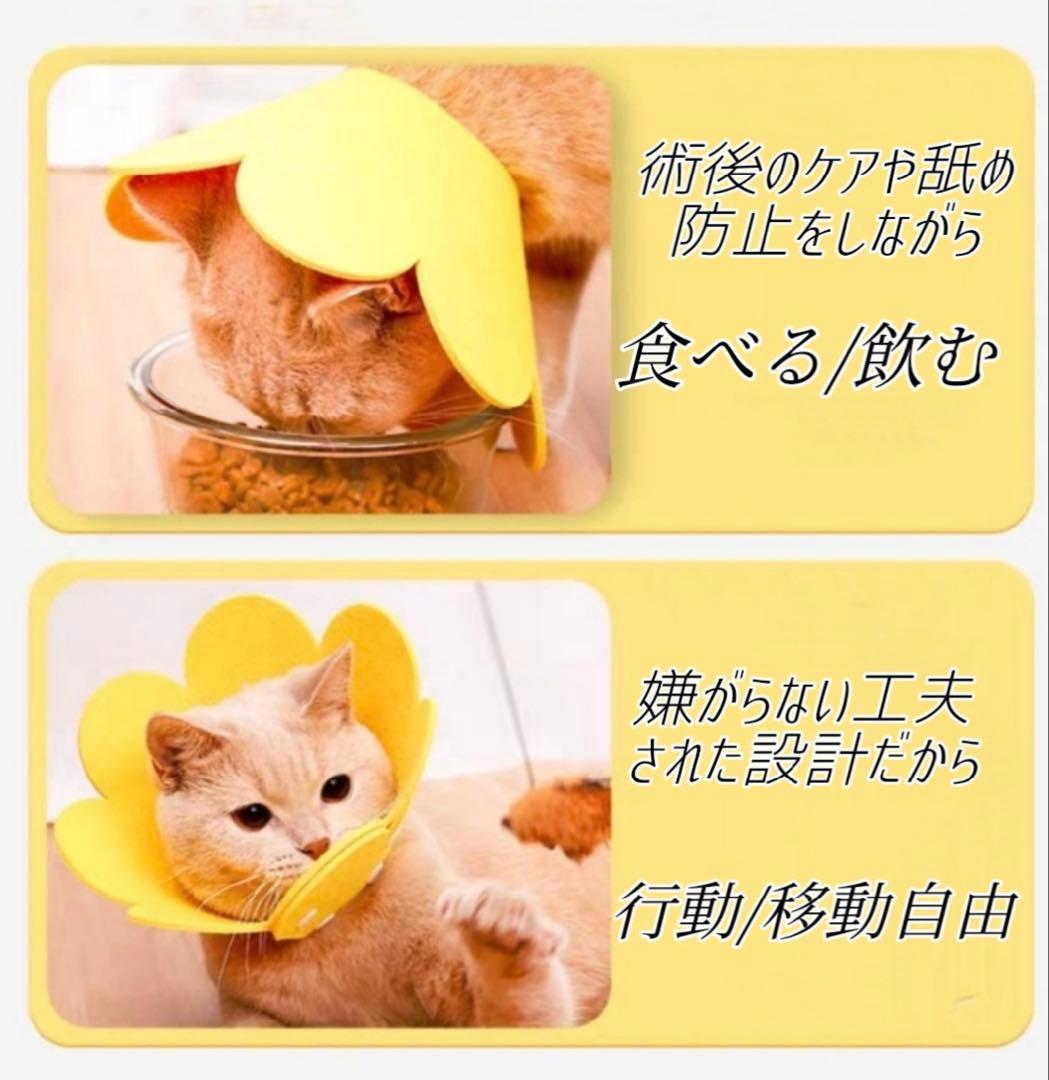 水洗い エリザベスカラー イエロー Mサイズ 可愛い 花型 トリミング