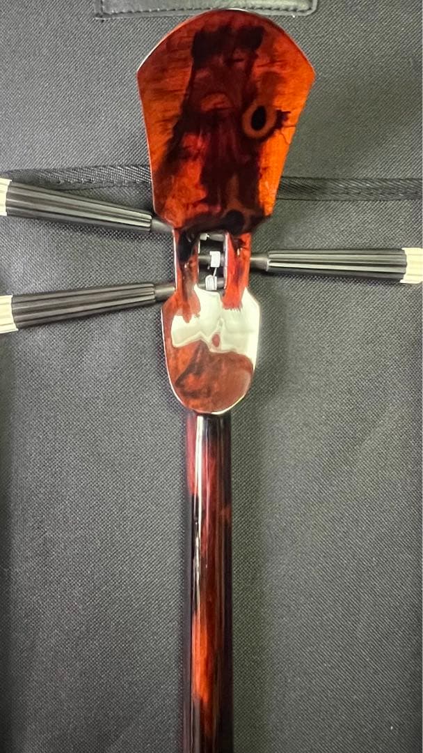 三線 八重山黒木 ウジラミ