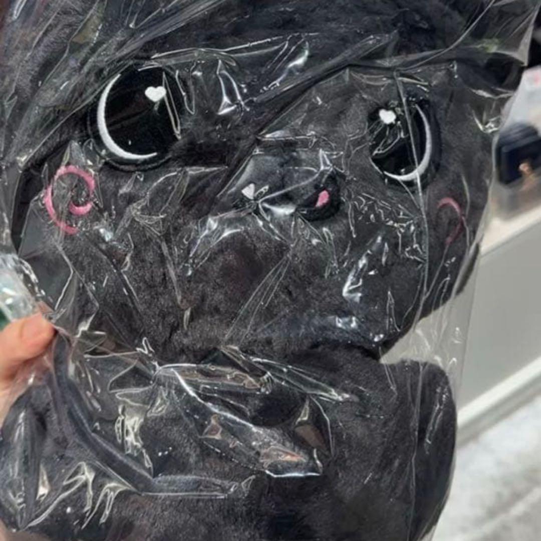 NCT WISH ソウルコン　バッグ　トレカ付き　リク