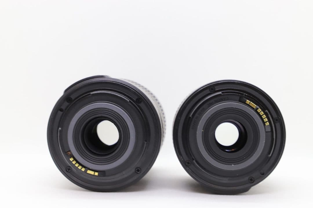 新品級○約450mmの超望遠○手ぶれ補正○Nikon 55-300mm VR ⭐️超望遠