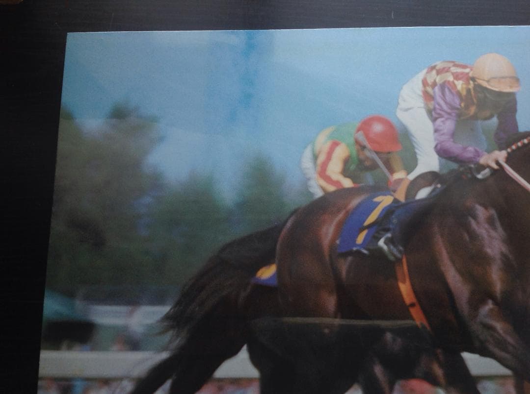 競馬パネル：トウショウボーイ「1977年 第7回高松宮杯」※カラー直線