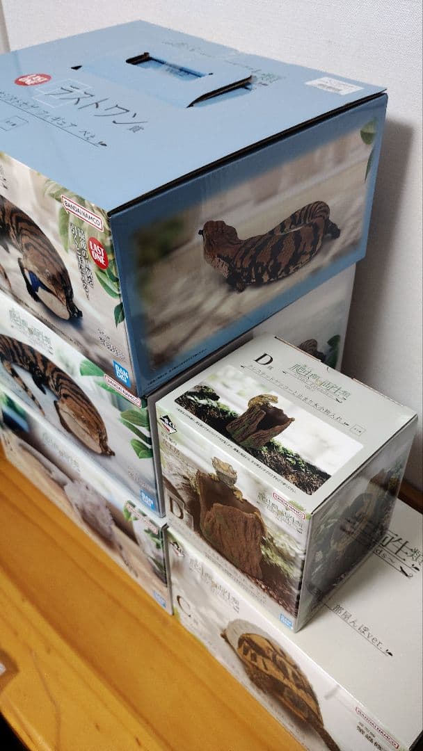 一番くじ 爬虫類 A B C D ラストワン