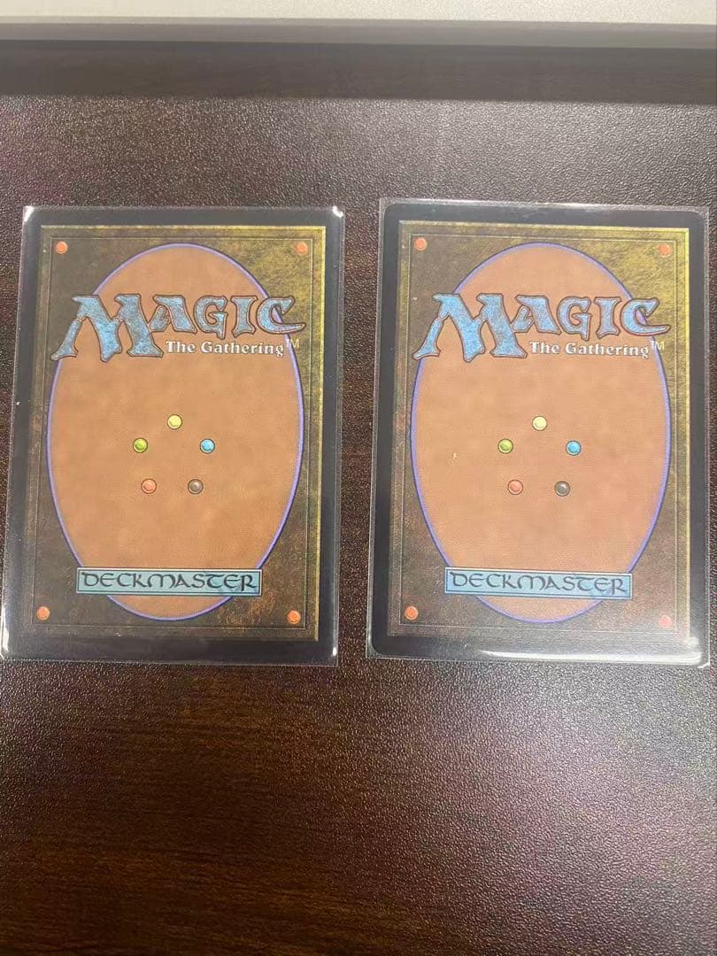 mtg 沸騰する小湖　吹きさらしの荒野　セット