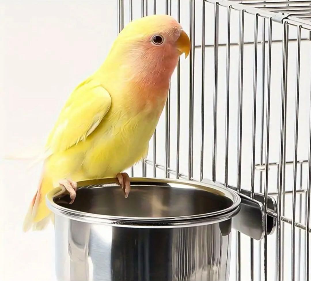 ⚫︎同梱用商品⚫︎送料別⚫︎インコさん用 ステンレスの餌入れ
