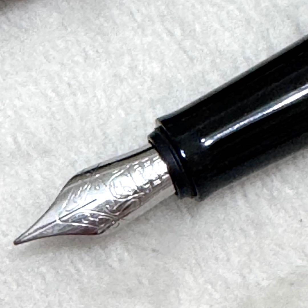 未使用品＊ BENU 万年筆 グレイスフルカメレオン F - メルカリ