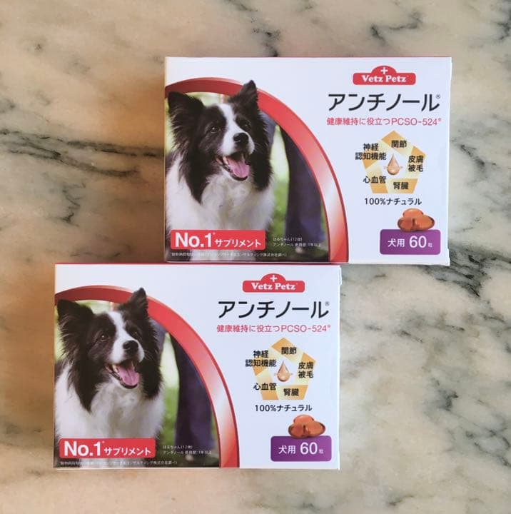 ruru様専用♡アンチノール 60カプセル入り2箱 良い ruru様専用♡